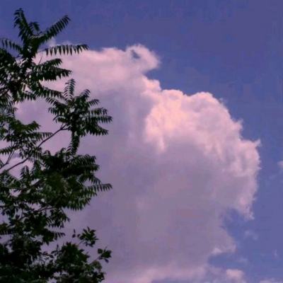 古都奇缘梦幻之旅手游官方版下载